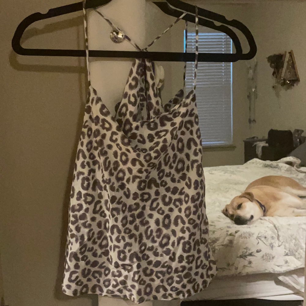Cheetah Tank